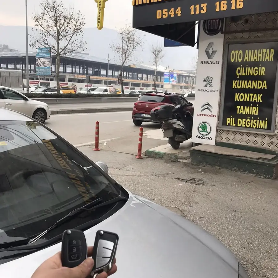 Oto Anahtar Programlama